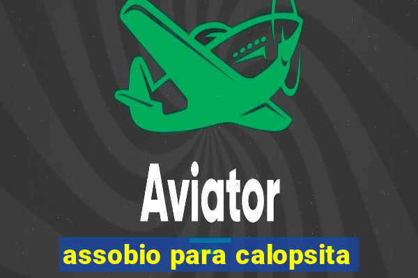 assobio para calopsita